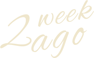 1週間後（変化を実感しやすい最初のピーク）