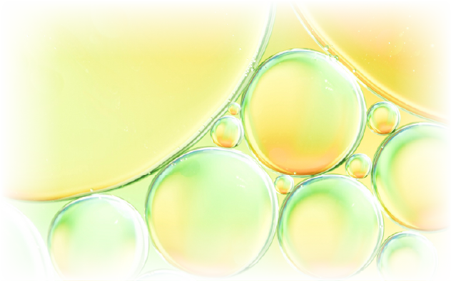 レモンボトルの主な成分のイメージ