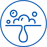 ポアレスのアイコン