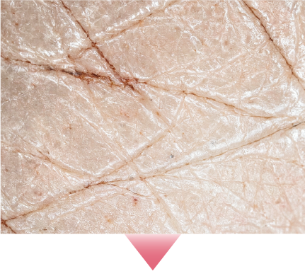 イメージの画像