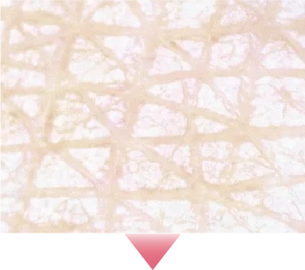 イメージの画像